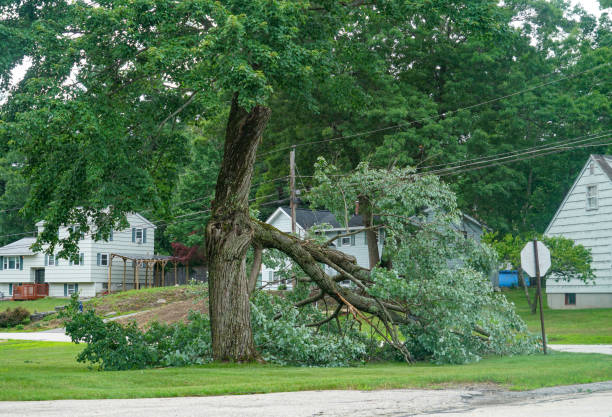 Best Commercial Tree Services  in Ralls, TX